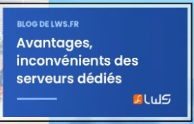 Serveurs dédiés - Dual Xeon E3 (26/01/2022 - 25/01/2023) 1 an + Systeme d'exploitation OS: Windows Server standard edition 2022 Licence pour 1 an