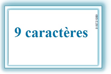 Badge de Proximité (9 caractères)