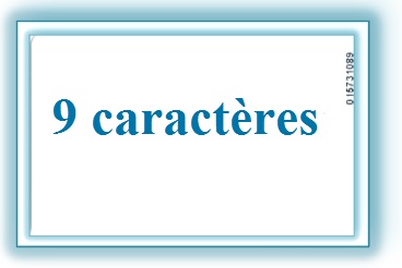 Badge de Proximité (9 caractères)